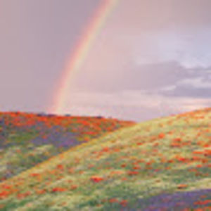 Meet your Posher, Daryl